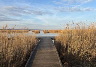 Appartementhaus Ludwig - 2