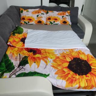 Studio apartman Laura - Vinkovci - 5
