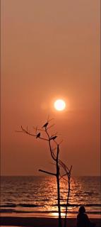 Parshuram Sea Shore Cafe and Rooms, Gokarna - 9