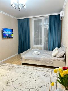 Прекрасные и уютные апартаменты в классной локации - Astana - 6