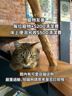 缽割貓點點 青旅 DianDian hostel - Puli - 9