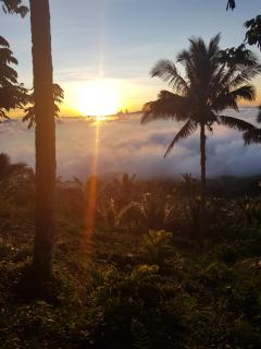 Eco Farm Romantic Stone House with STARLINK internet 700 meters above sea level - 8