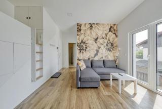 Apartments Trnovo - 8