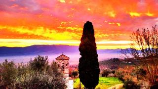 Dimora del falco - Montefalco - 0
