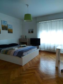 4 Minutes from Lausanne Train Station - Lausanne - 3