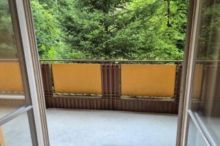 Huge Charming City Center Apartments with Balcony & Garden View RIGI - Zurigo - 2