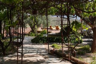Kasbah Timdaf - Demnate - 9