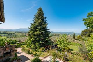 Il Grappolo E La Rosa - Montefalco - 3