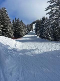 Snow Roc Mountain View - Saint-Jean-d'Aulps - 3