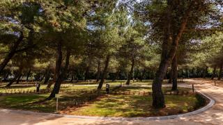 Lopari Camping Resort - 8