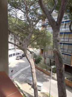 Quadrilocale Carducci - Lido degli Estensi - 2