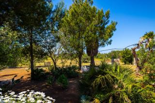 Villa verde vista mare Torre Suda by cute home - Torre Suda - 5