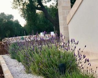 Tenuta La Pomona - Ostuni - 8