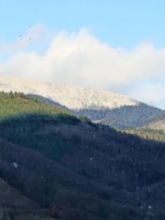 Chalet au calme - La Bresse - 3