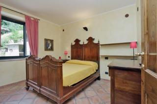 Il Gallo d' Oro - Pulcino - - 9