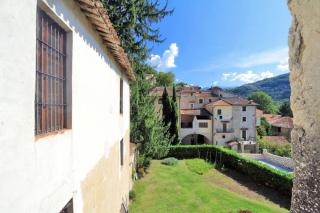 Il Gallo d' Oro - Pulcino - 2