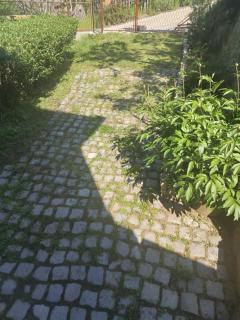 Apartman Poirot Jana - 3