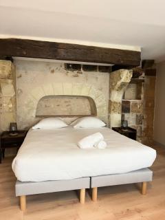 La Maison Tanneur, centre ville historique à 5mn de Beauval - Saint-Aignan - 0