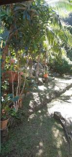 Auberge grand bassin - Le Tampon - 1