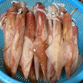 khách sạn Hoàng An - biển Hải Tiến - Thanh Hóa - 7