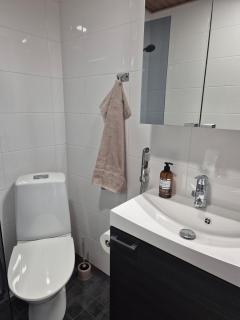 Bright studio for two - 2