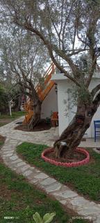 Ai Giorgis Apartment A - Alexandroupoli - 6