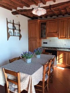 Villa MariaPia - Camaiore - 3