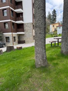 Borovets Gardens MVS Apart D42 - Borovets - 7