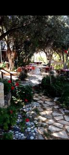 Efe Bungalov - Kaş - 2