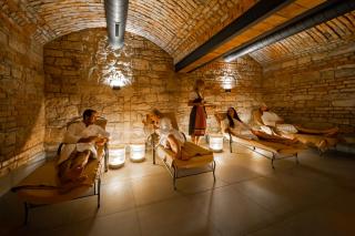 VINOHRADSKY DUM Residence - 1