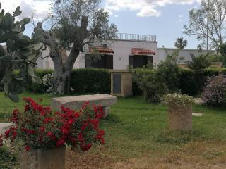 Villa in a lovely olive grove 10 minutes from the sea Vigna del Salento - Specchia Gallone - 8