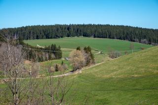 Ferienwohnung Armbruster - Sankt Georgen im Schwarzwald - 6