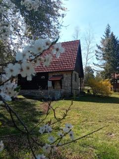 Brvnara Rustik - Zlatibor - 0