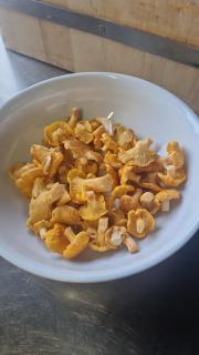 Die Herrgottschnitzerhütte am Wechsel - 1