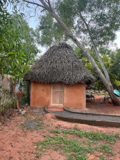Reve living - Auroville - 5