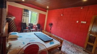 Abhaya Homestay - 2