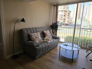 Apartamento El Junco IF Beach - Benidorm - 8
