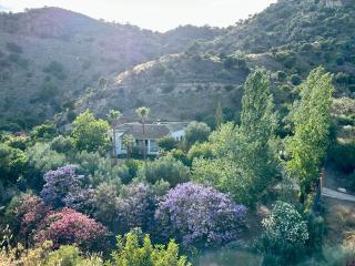 Authentic Luxury Villa in Oasis with Pool close to Malaga - 9