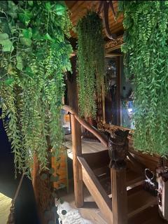 Jungle Cabin - Martin - 3
