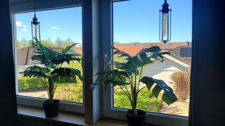 Cozy studio close to town and nature - 7