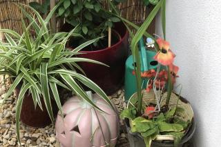 Cozy Nook Cottage - Sleeps 4 Garden & Parking - 4