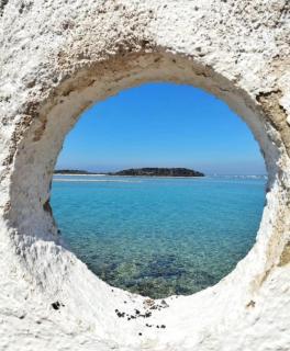 Jennifer's Apartment - Porto Cesareo - 5