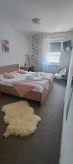 Hotel Orlan - Bratislava - 1