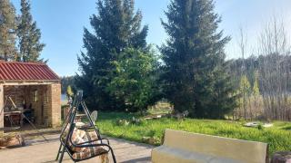 Spanie na sianie - Skorka - 1