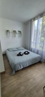 Appartement de 50 m2 cosy et moderne à 100 m de la plage - Saint-Mandrier-sur-Mer - 5