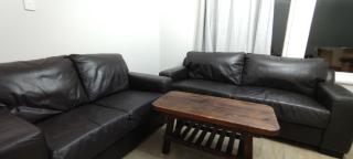 Newtown Camp de Luxe - Wellington - 7