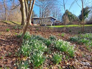 Cottage With Spa Near Sommerland Sjælland - 6
