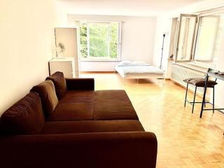 Huge Charming City Center Apartments with Balcony & Garden View RIGI - Zurigo - 4