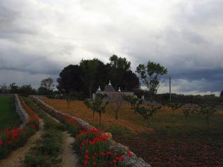 Trullo Dei Nonni - Locorotondo - 7