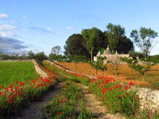 Trullo Dei Nonni - Locorotondo - 4
